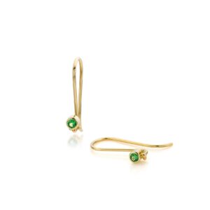 Hooks met tsavoriet en granules